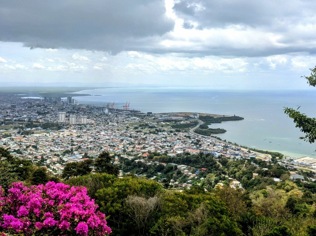 Island Experiences - Eco-Cultural Tours & Yacht Charters-西班牙港必去景点