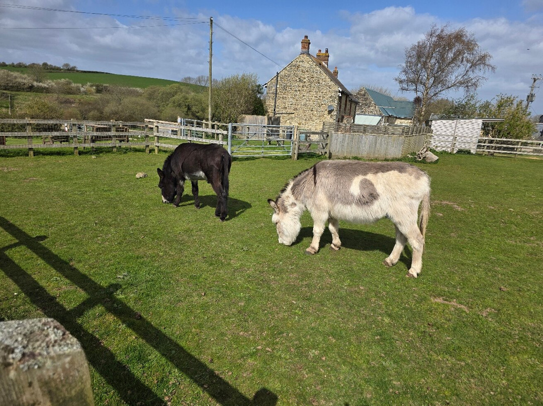 怀特岛毛驴之家-文特诺必去景点