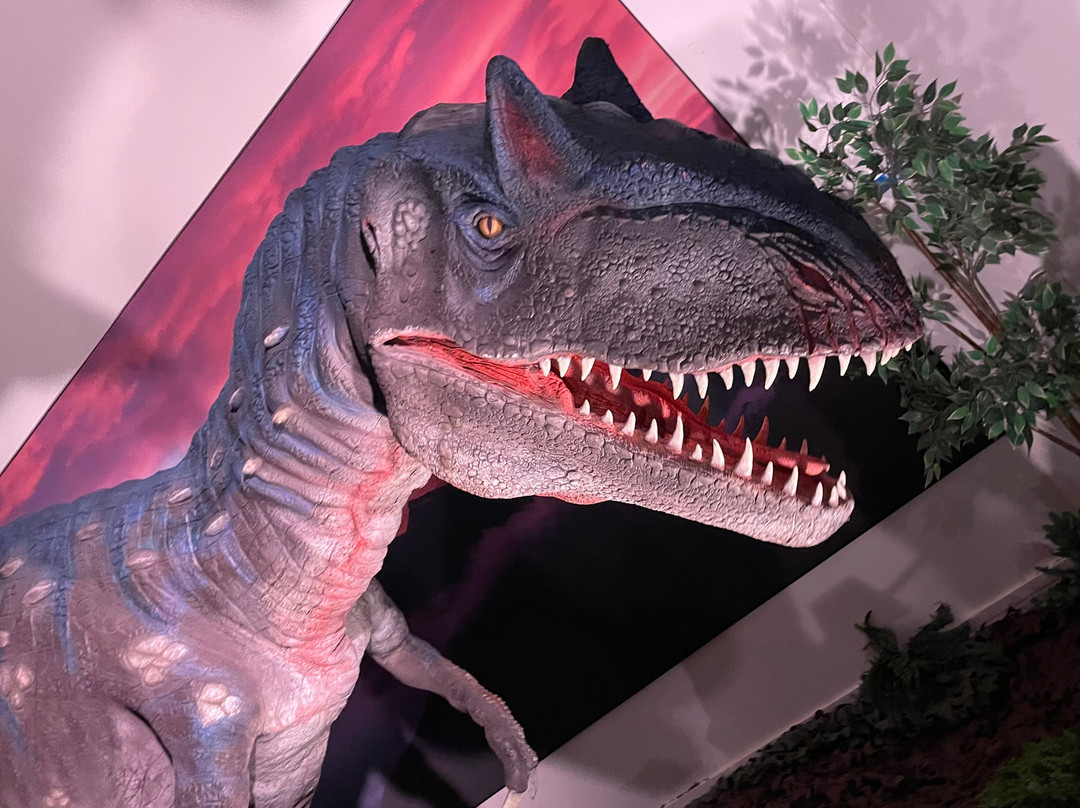 Science at Life-纽卡斯尔必去景点