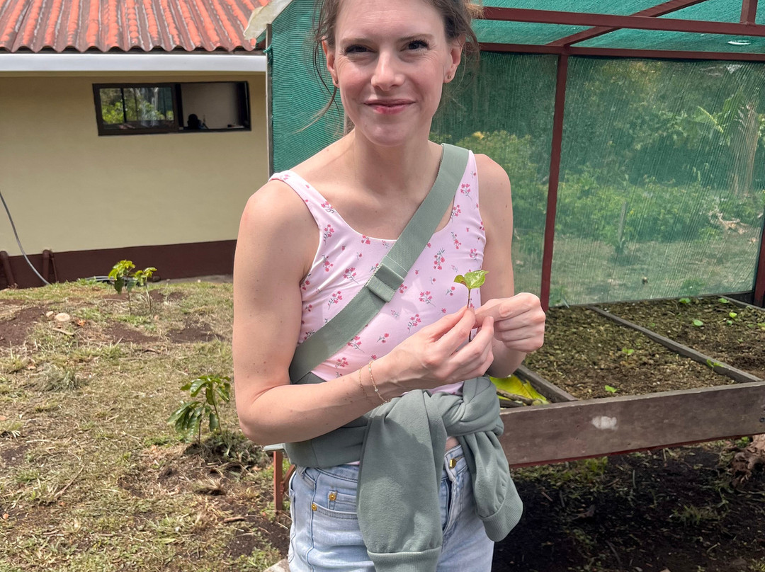 Café Monteverde Coffee Tour-圣埃伦娜必去景点