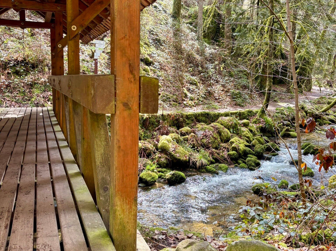 Geroldsau Waterfall-巴登巴登必去景点