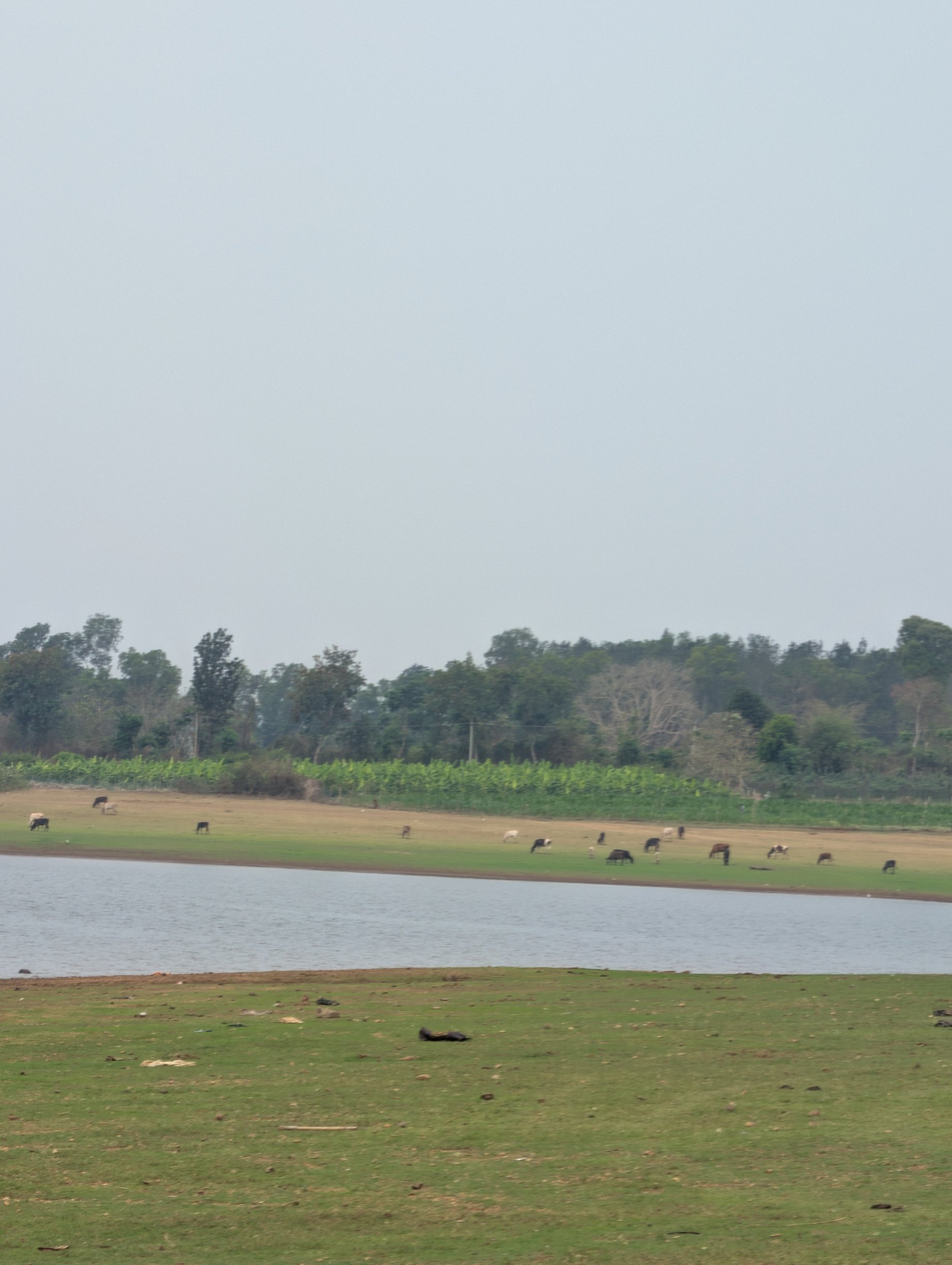 水之林小屋度假村-官方