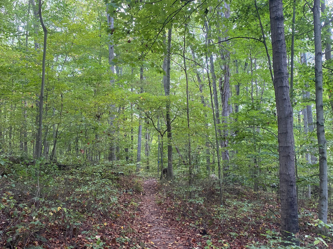 Salt Fork State Park-Cambridge必去景点