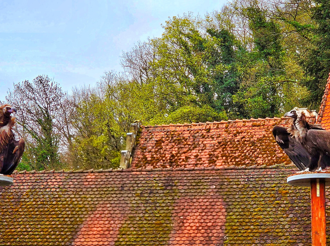 Deutsche Greifenwarte-Hassmersheim必去景点