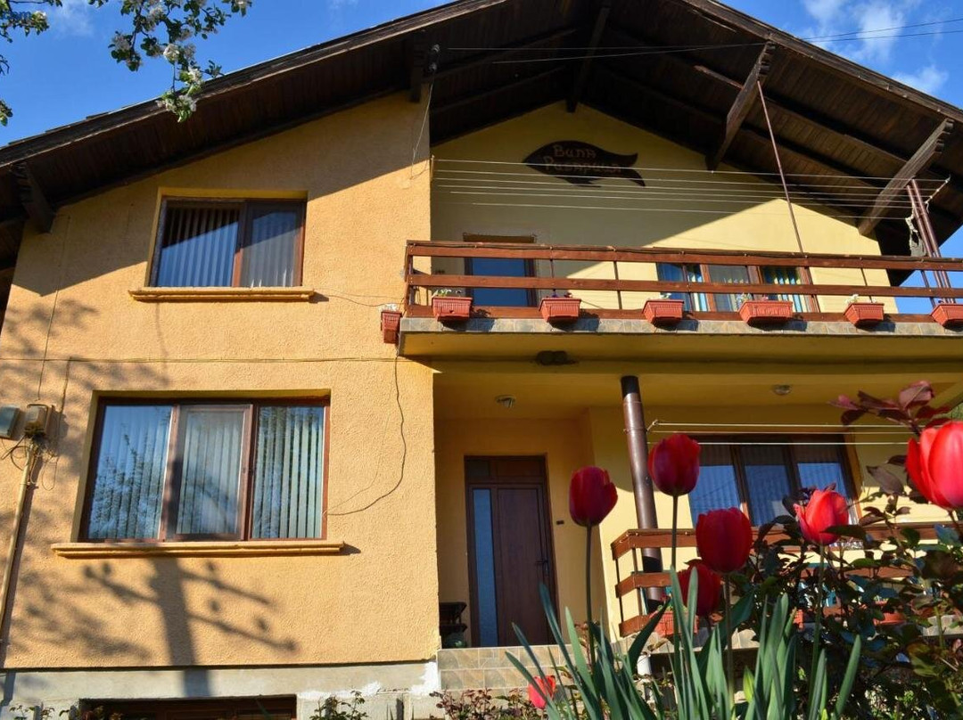 Villa Ribarica