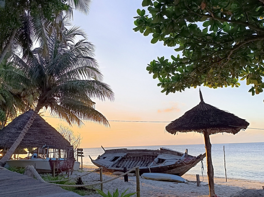 Mafia Whale Shark Tours-Kilindoni必去景点