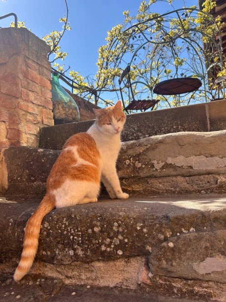 阿尔贾尔迪诺德利特池乡村民宿-官方