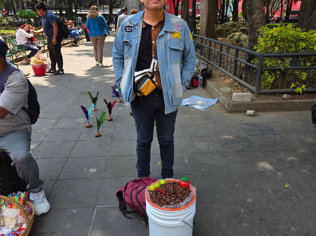 Coyoacan Market-墨西哥城必去景点