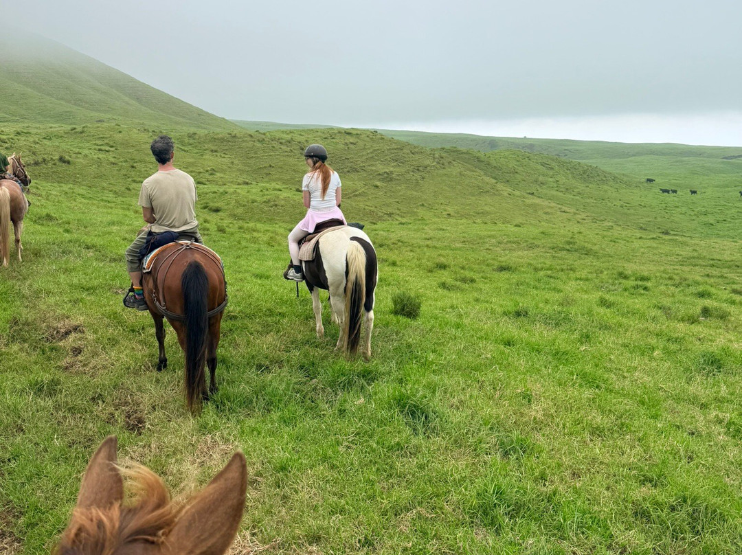 Na'alapa Stables - Kahua Ranch-卡慕也拉必去景点