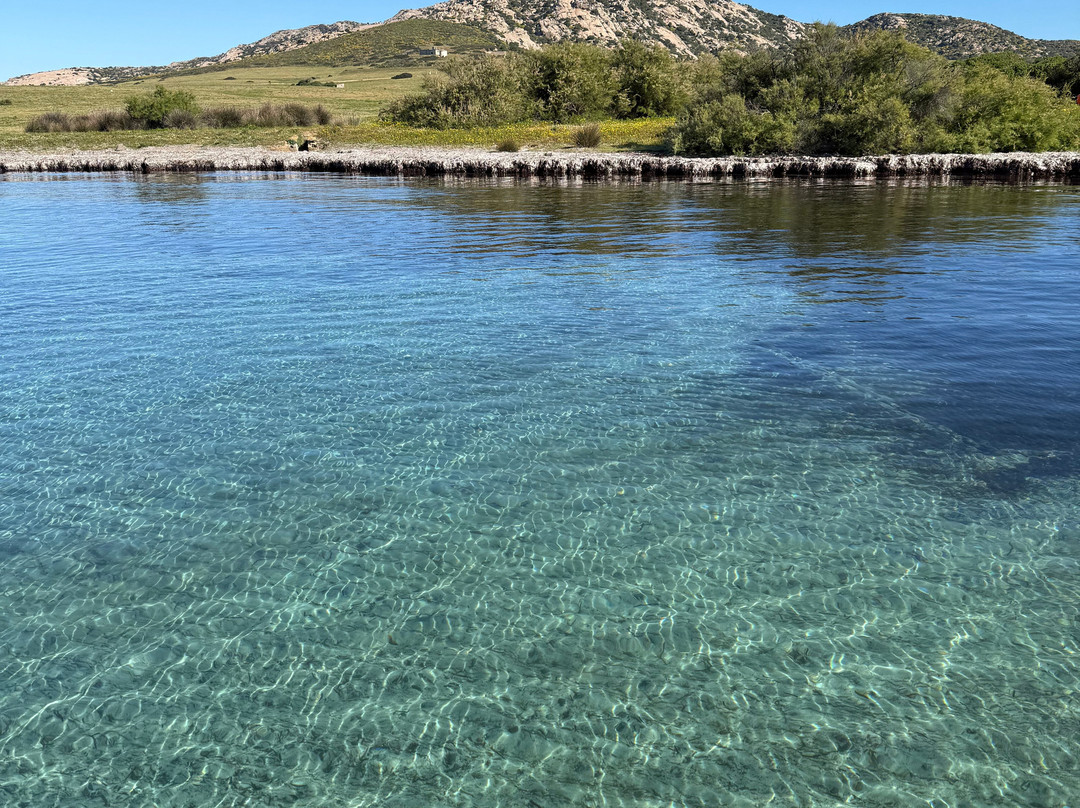 Futurismo - Escursioni Asinara-斯廷蒂诺必去景点