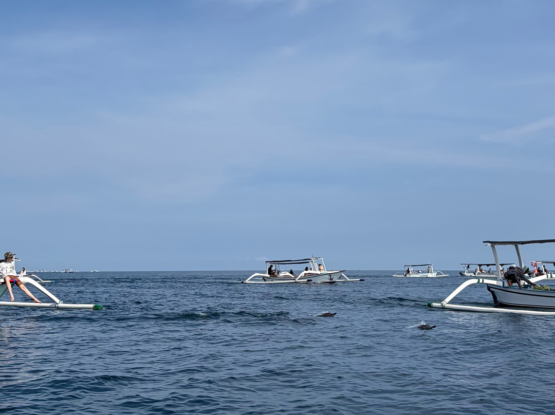Dolphin Boat Lovina-罗威那海滩必去景点
