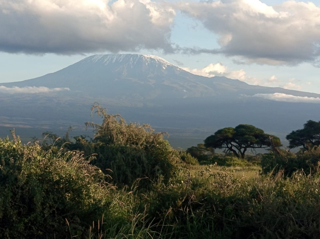 Destinations Kenya Safari-内罗毕必去景点