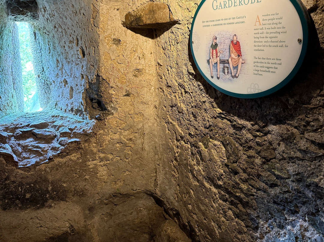 布拉尼城堡及花园-Blarney必去景点