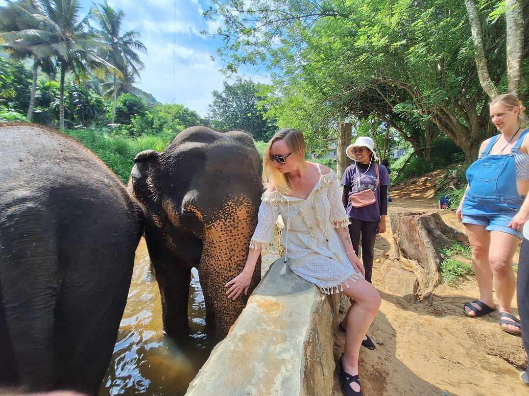 Elephant Freedom Project-凯格勒 必去景点