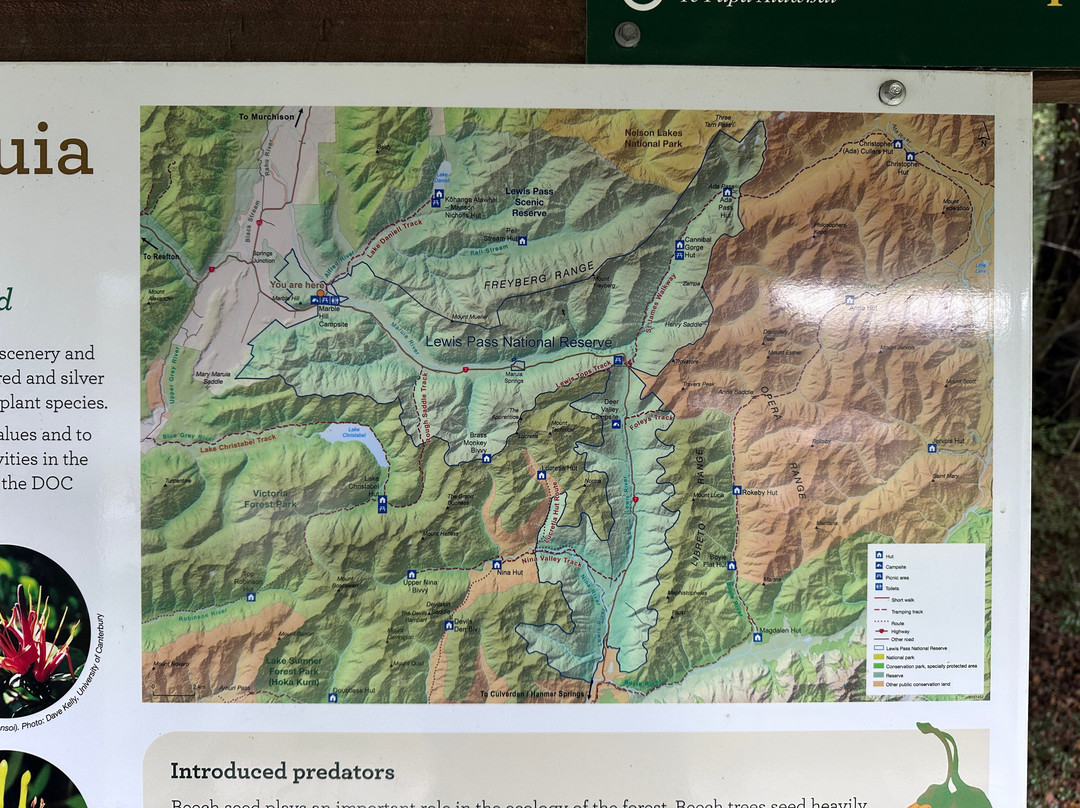 Lake Daniell Track-Springs Junction必去景点