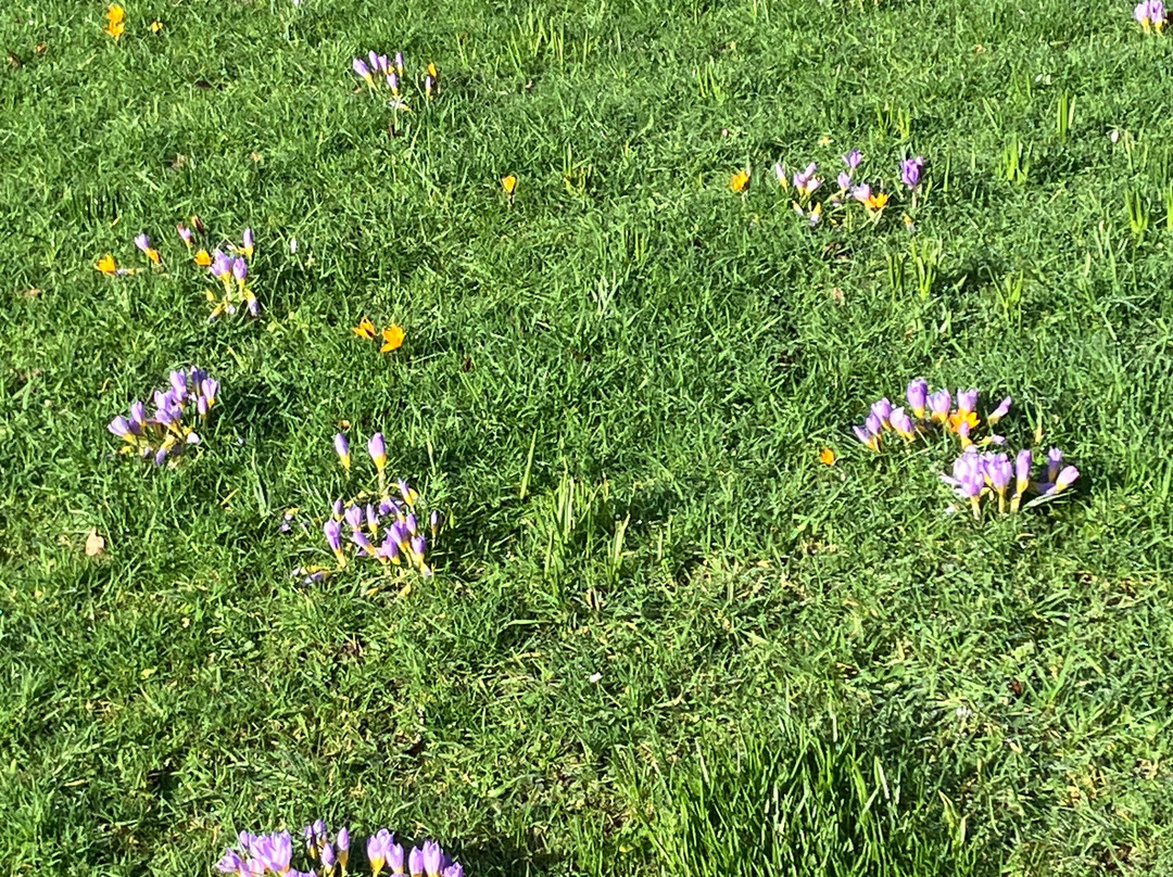Nymans Gardens and House-Haywards Heath必去景点