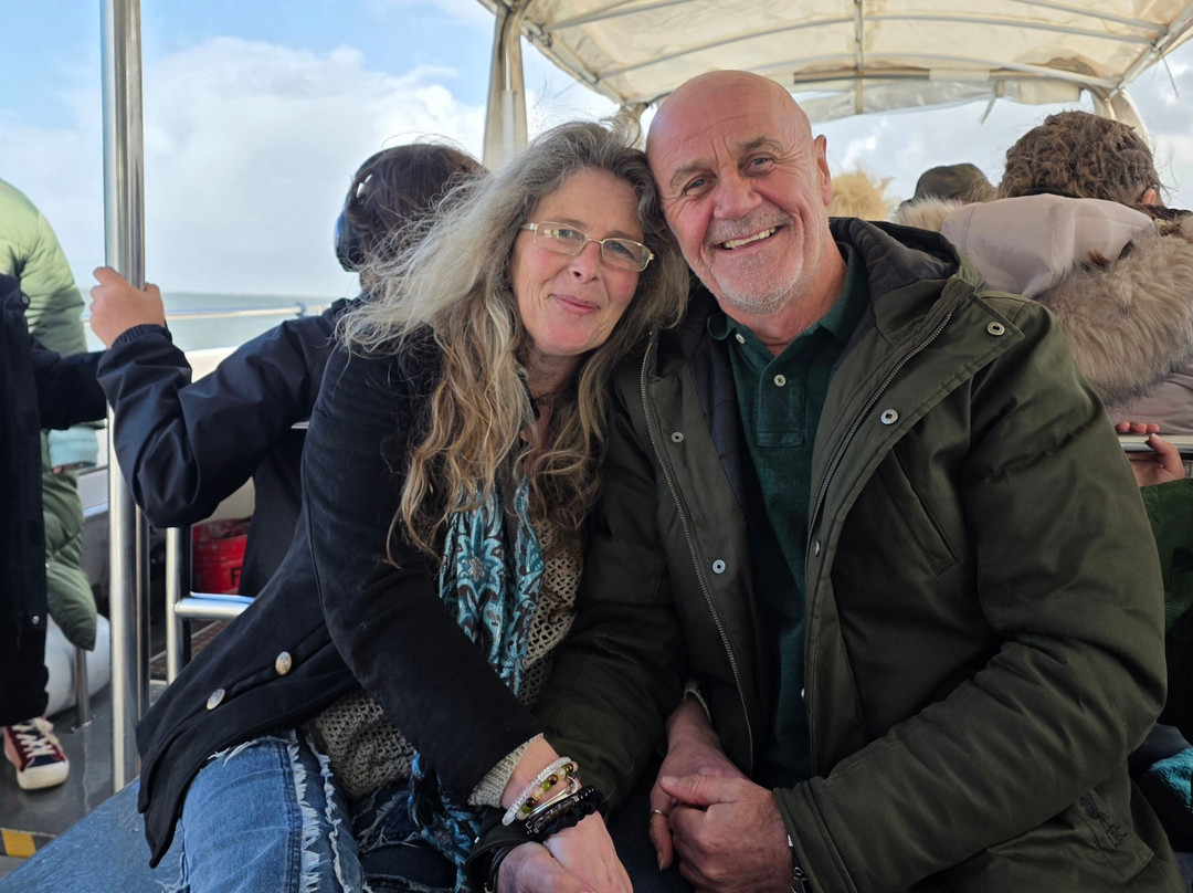 SeaMor Dolphin Watching Boat Trip-纽基必去景点