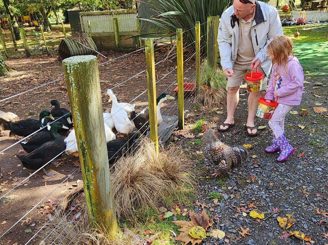 Lilliput Farm Fun And Animal Park-陶波必去景点