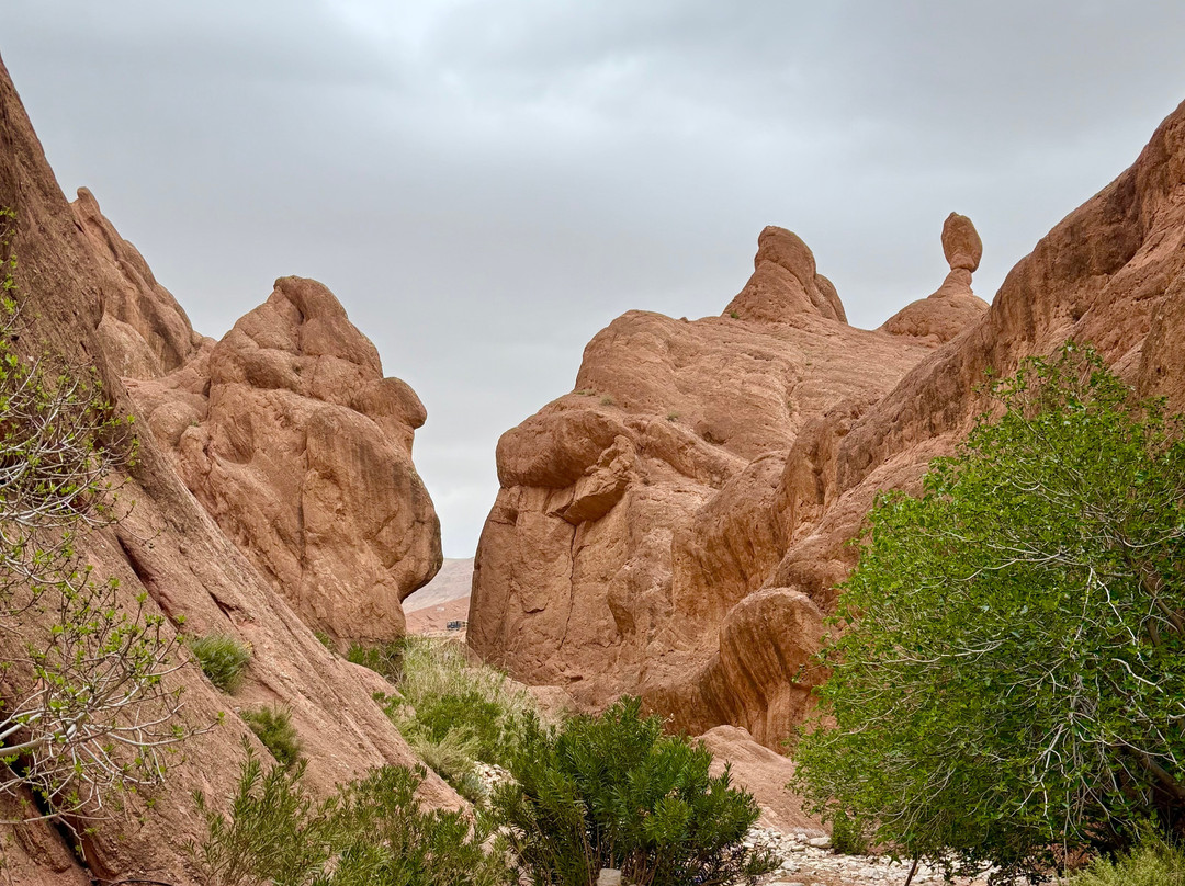 Trekking Au Gorge Du Dades Guide Abdou-Boumalne Dades必去景点