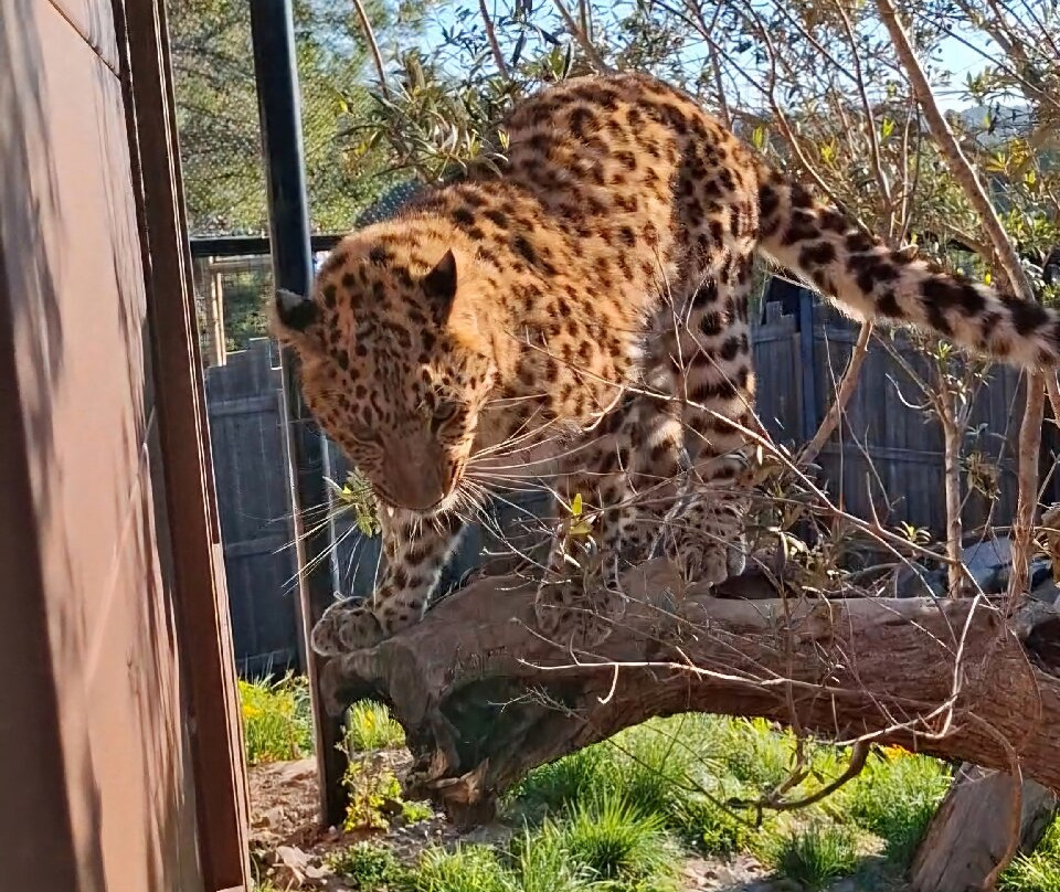 EcoZonia - Parc Animalier-Cases de Pene必去景点