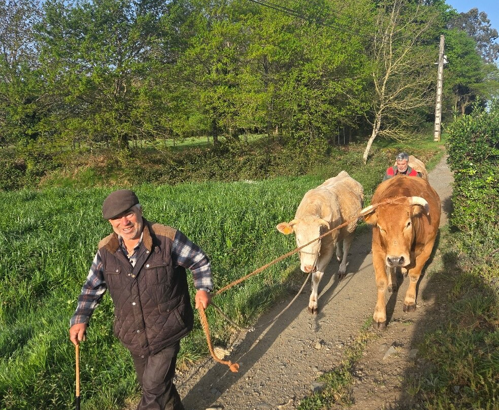 Magic Hill-圣地亚哥德孔波斯特拉必去景点