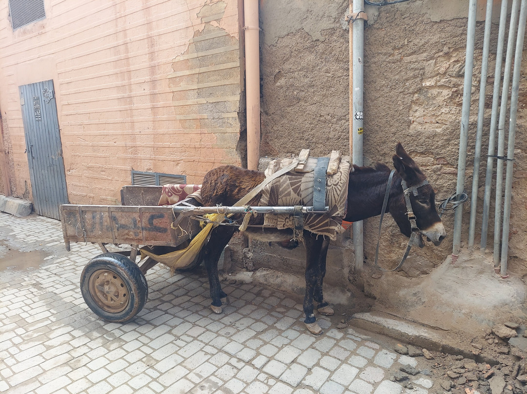 Cultural MoroccoTours-Ait Azzi必去景点