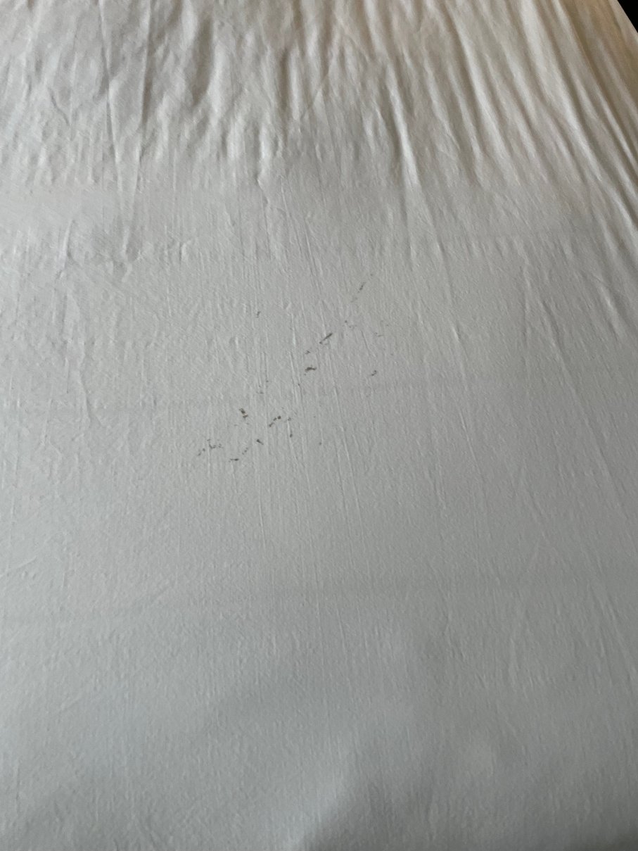 沃伦顿速8酒店-旅行者