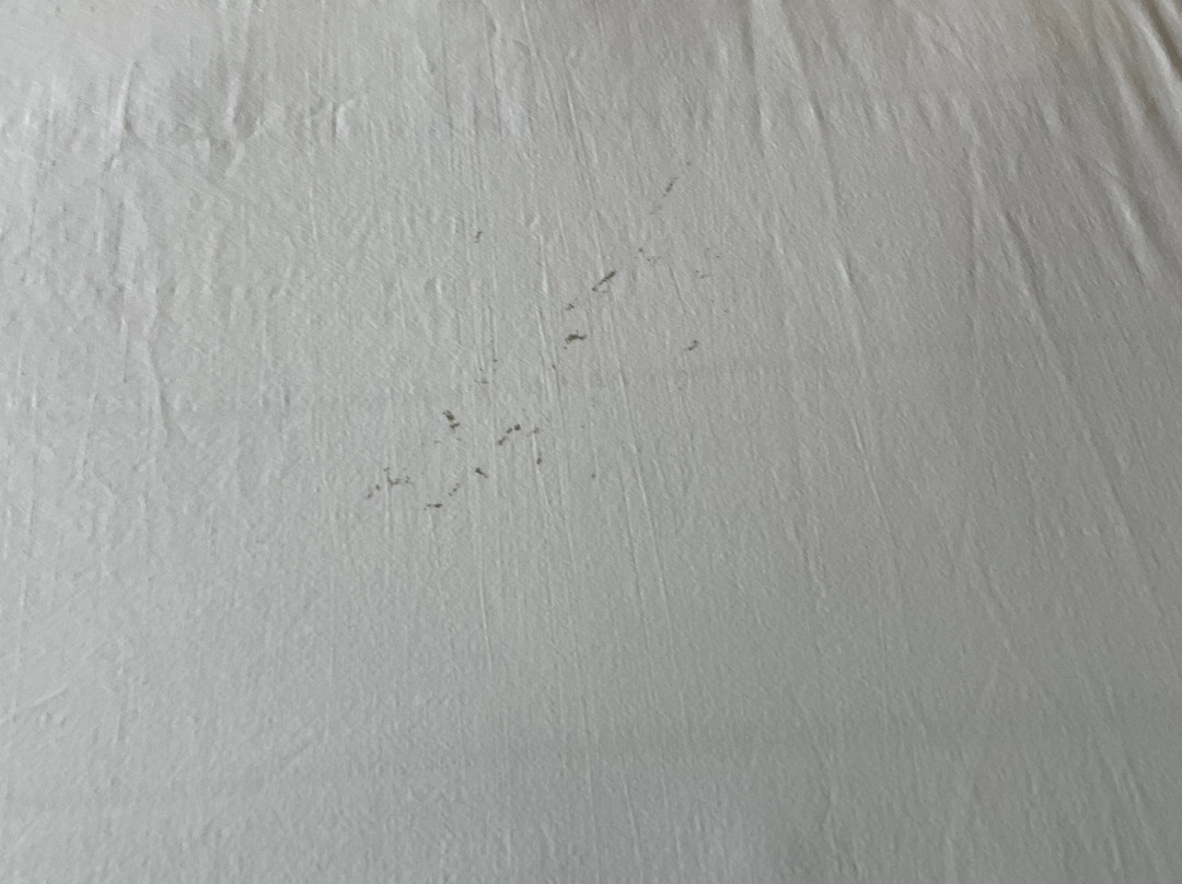 沃伦顿速8酒店主图