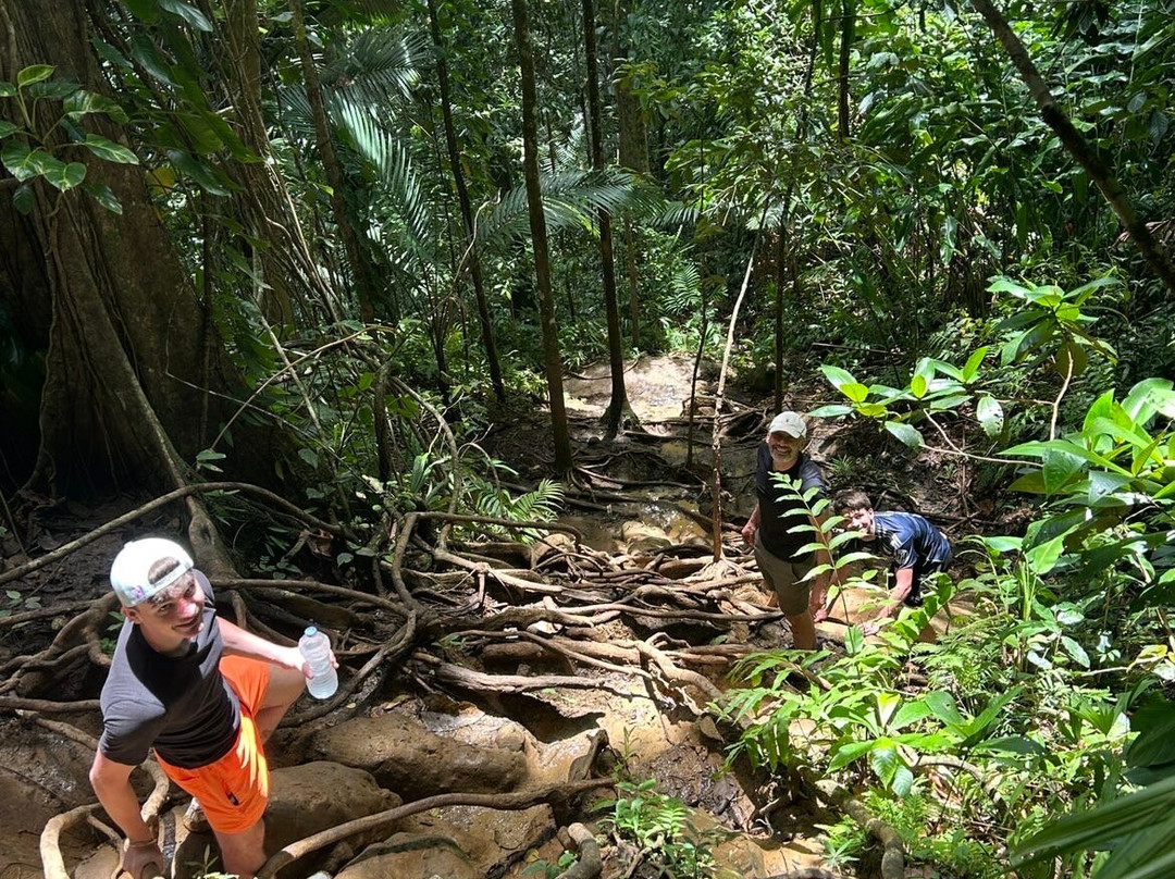 Saut de la Lézarde-Petit-Bourg必去景点