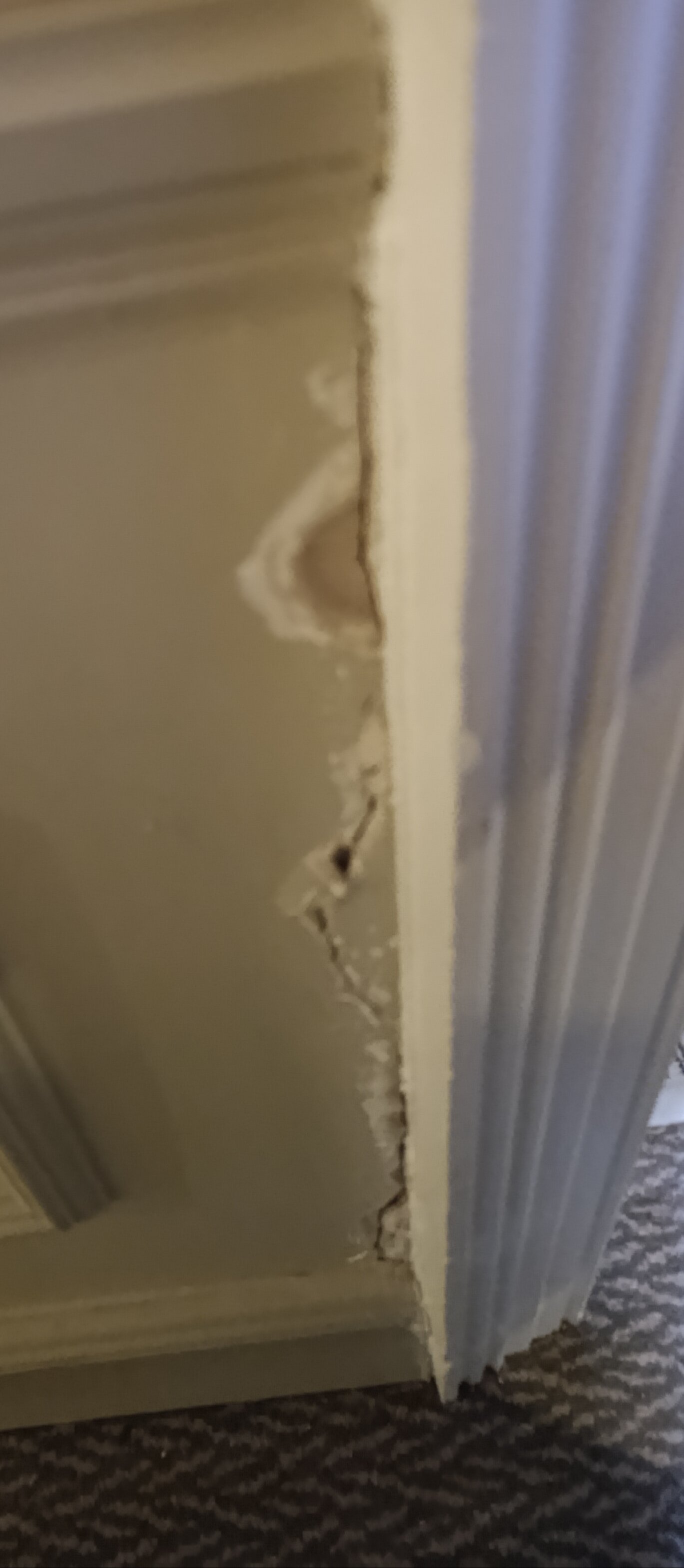 都柏林鲍宁顿酒店-旅行者