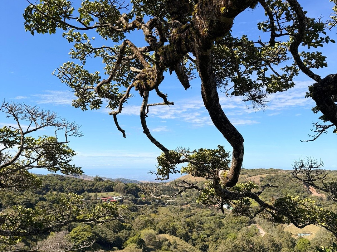 Finca Modelo Ecologica-蒙特沃德必去景点