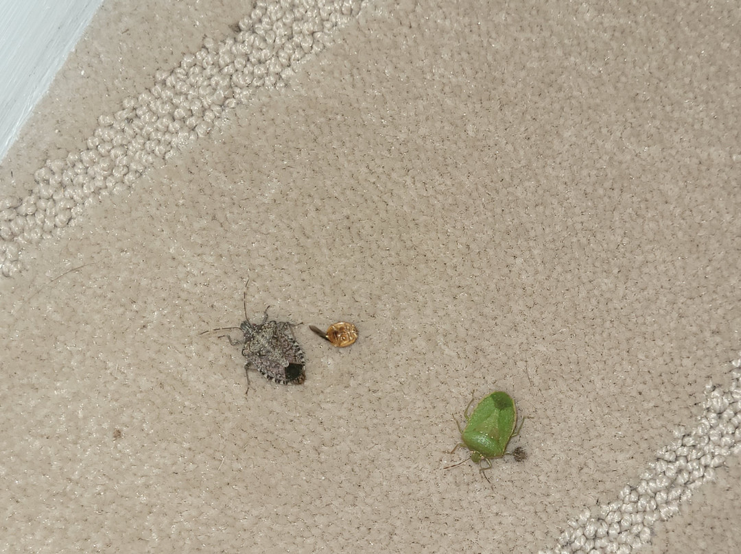 佩里格尼城堡原生酒店主图