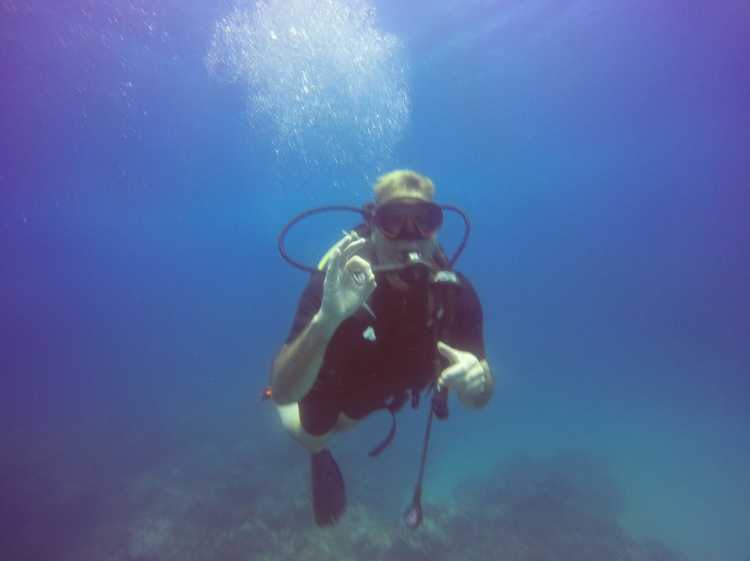 Dive Passion Mauritius-卓得多斯必去景点