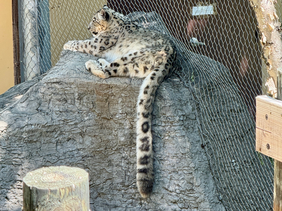 Chattanooga Zoo-查塔努加必去景点