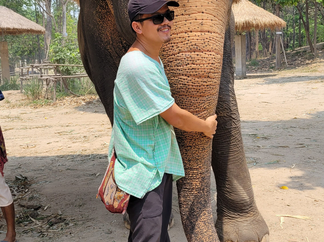 Maerim Elephant Sanctuary-夜林必去景点