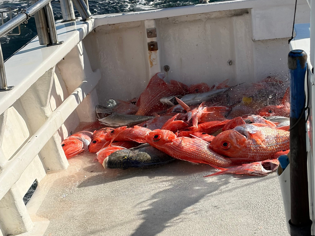 Reef Encounters Fishing Charters-Marion Bay必去景点