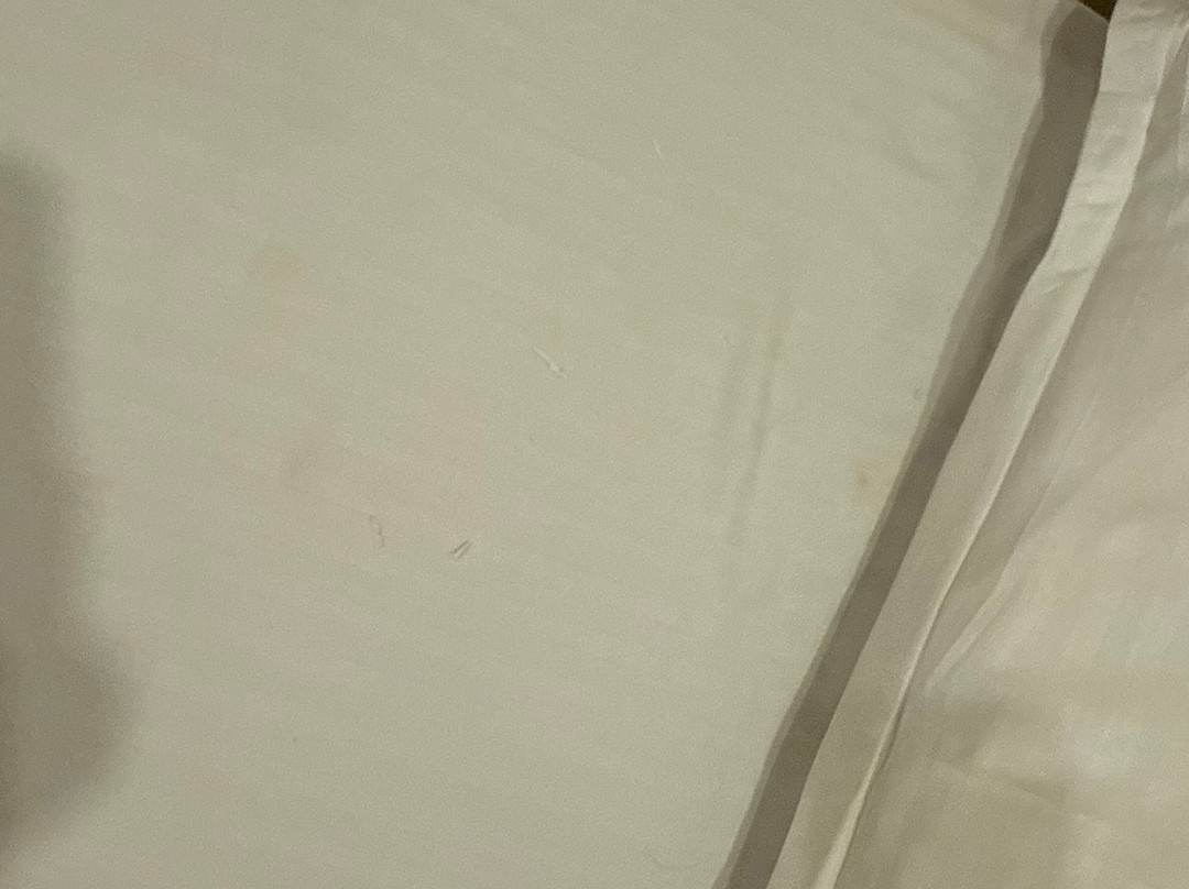 哈立德瓦尔雷内斯特酒店主图