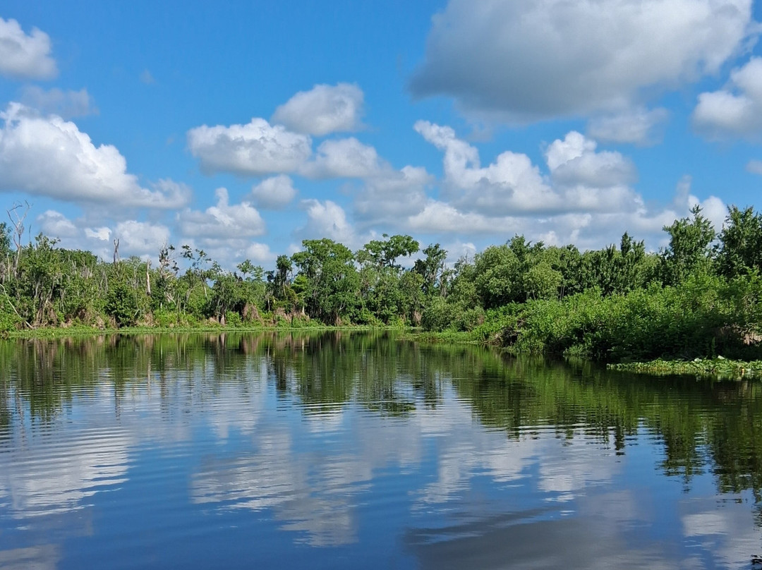 St. John's River Eco Tours, LLC-DeBary必去景点