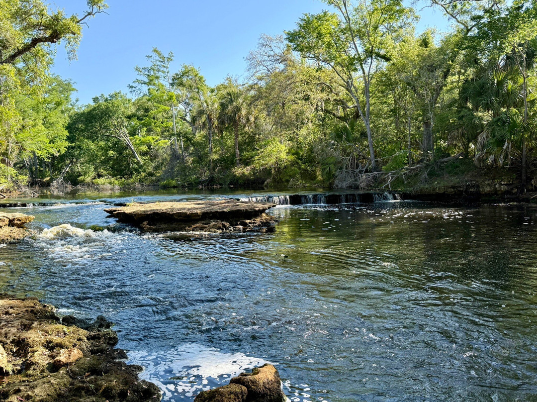 Steinhatchee Falls-Steinhatchee必去景点