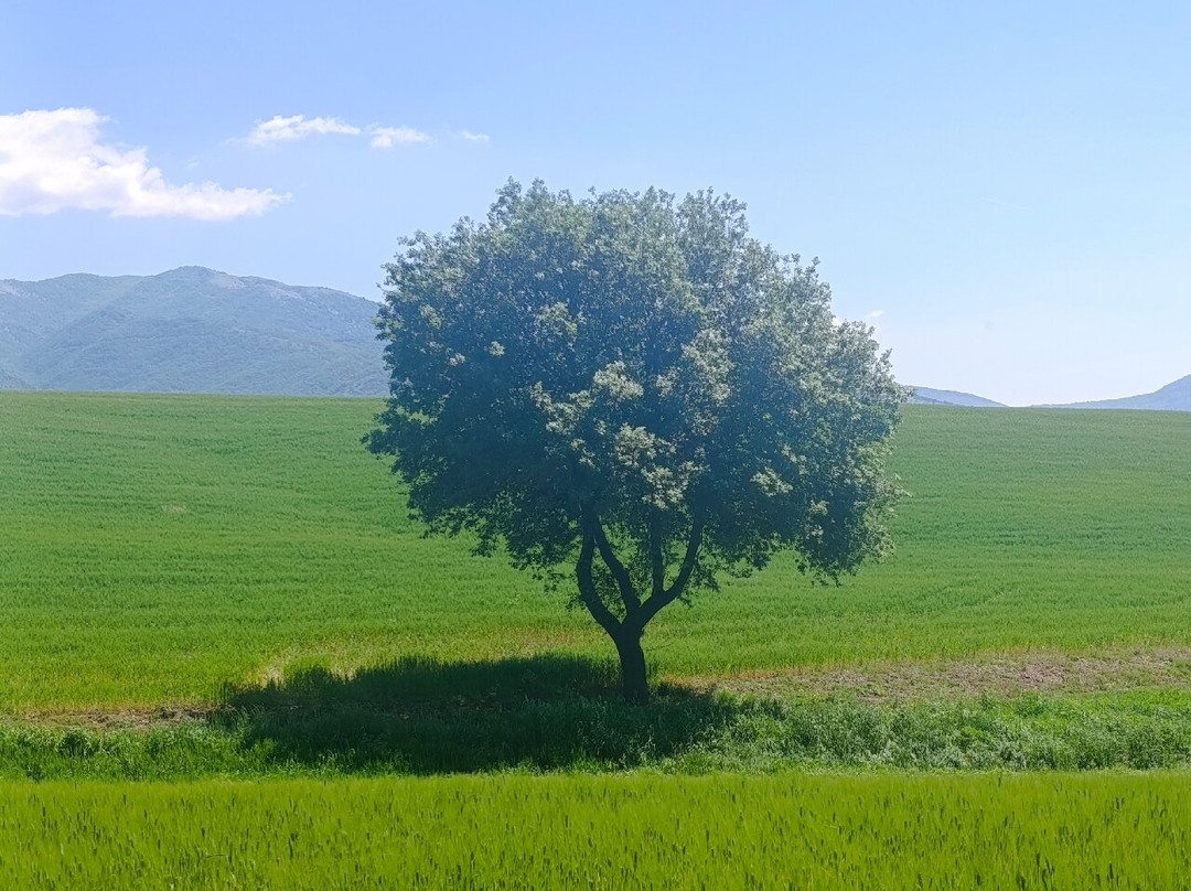 Lago di Giulianello-Artena必去景点
