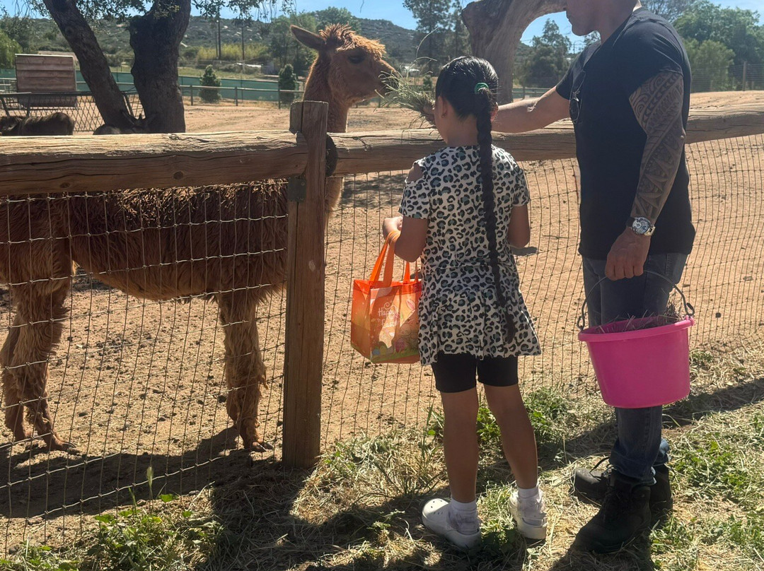 Alpine Acres Sanctuary Farm-Alpine必去景点