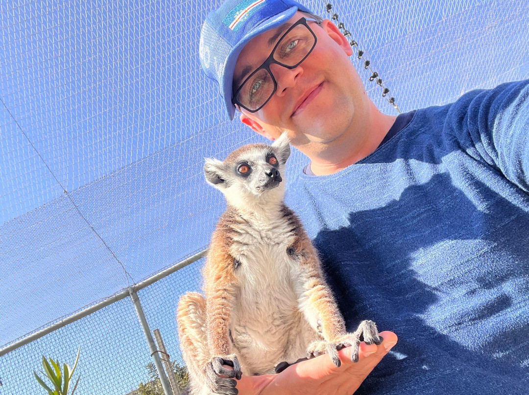 Farma of Rhodes Petting Zoo-罗德斯必去景点