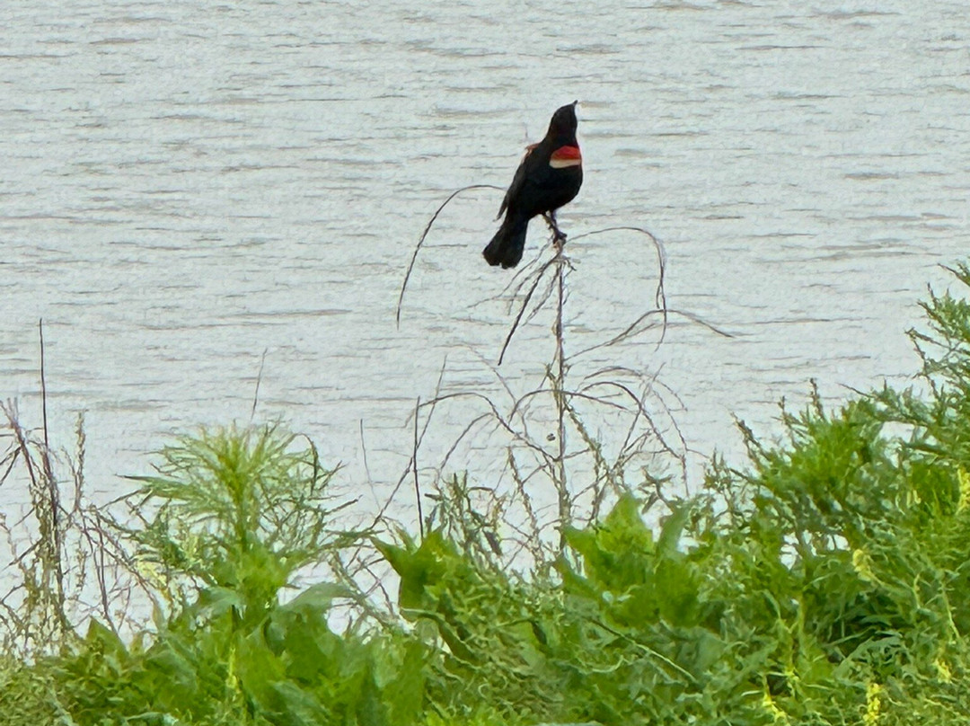 Hagerman National Wildlife Refuge-Sherman必去景点