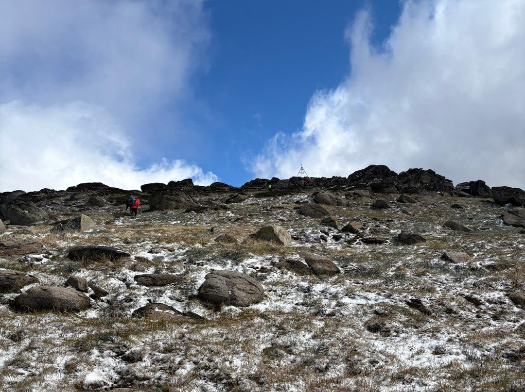 Sapphire Coast Guiding Co.-Pambula必去景点