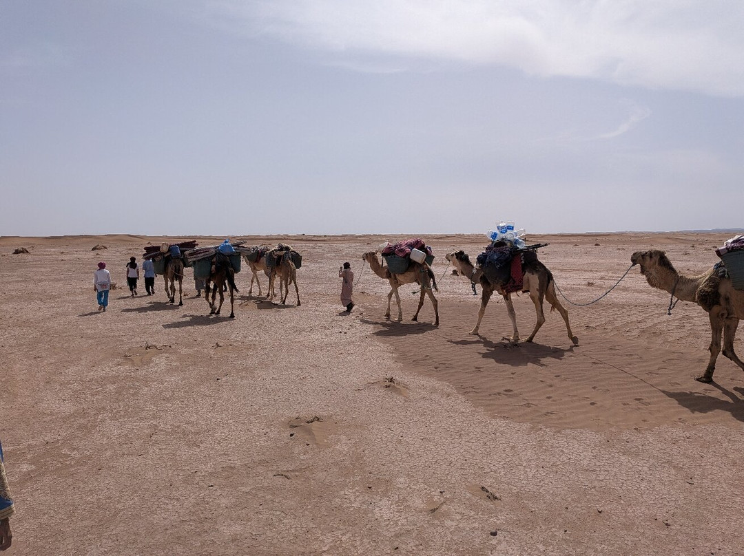 Desert Tour-扎古拉必去景点