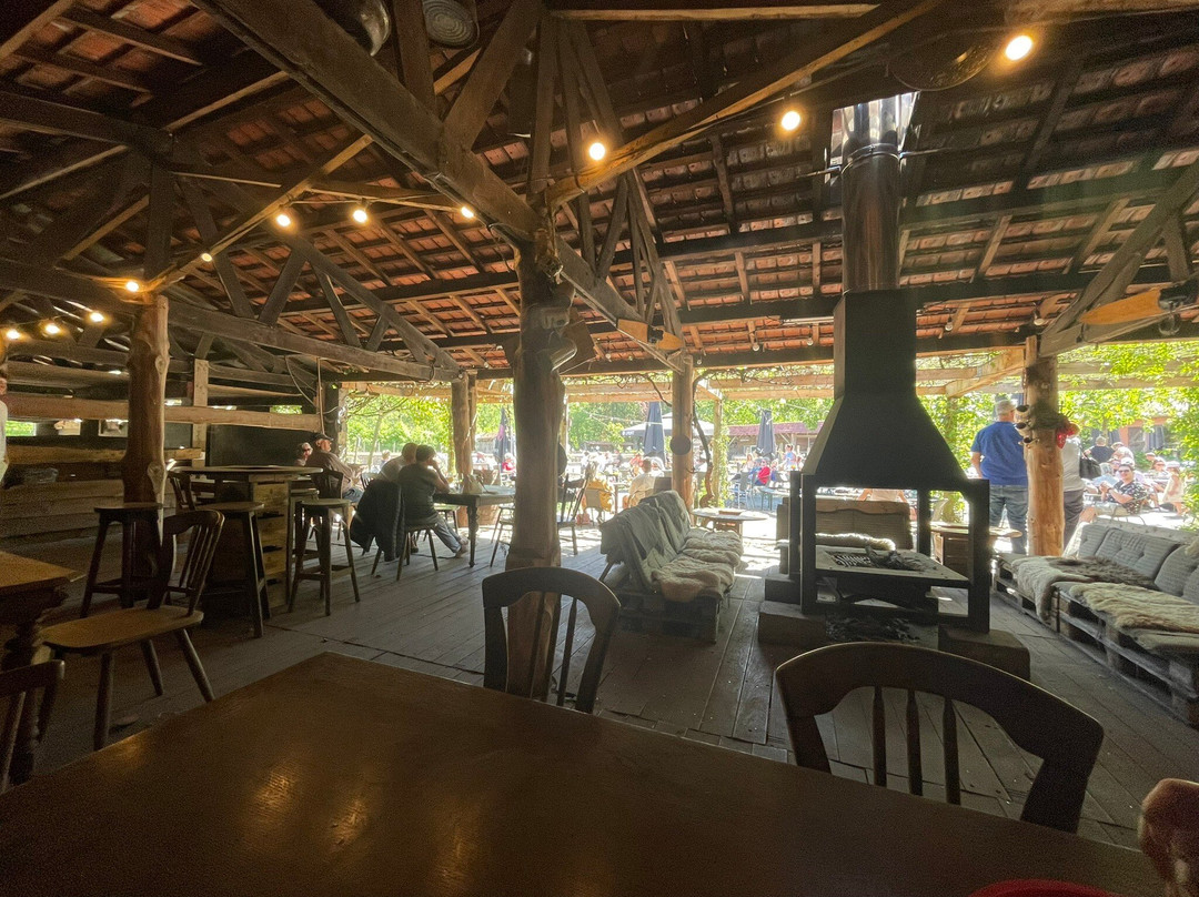 CHILDREN'S FARM DE LENTEHEI-Herentals必去景点