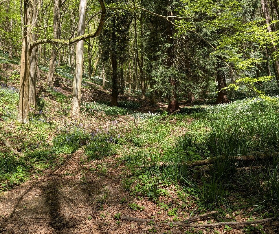 Woodchester Park-斯特劳德必去景点