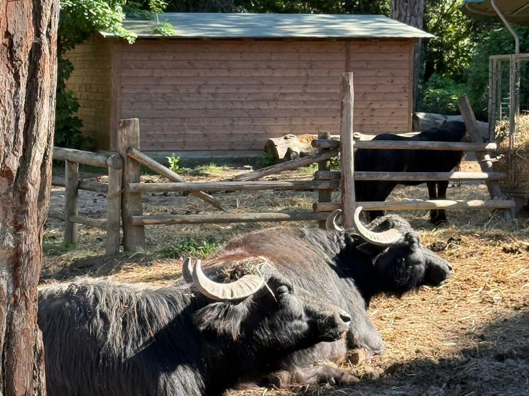Parco Naturale Di Cervia-切尔维亚必去景点