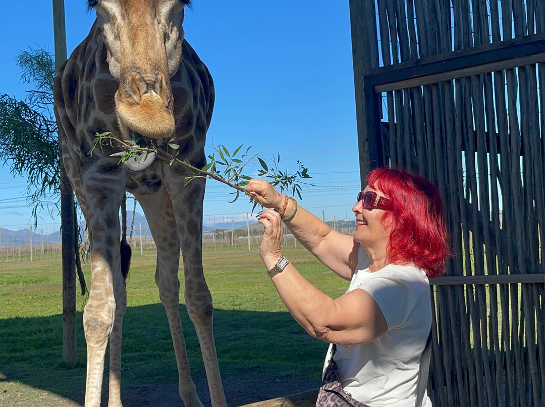 Tash Tours Cape Town-Grassy Park必去景点