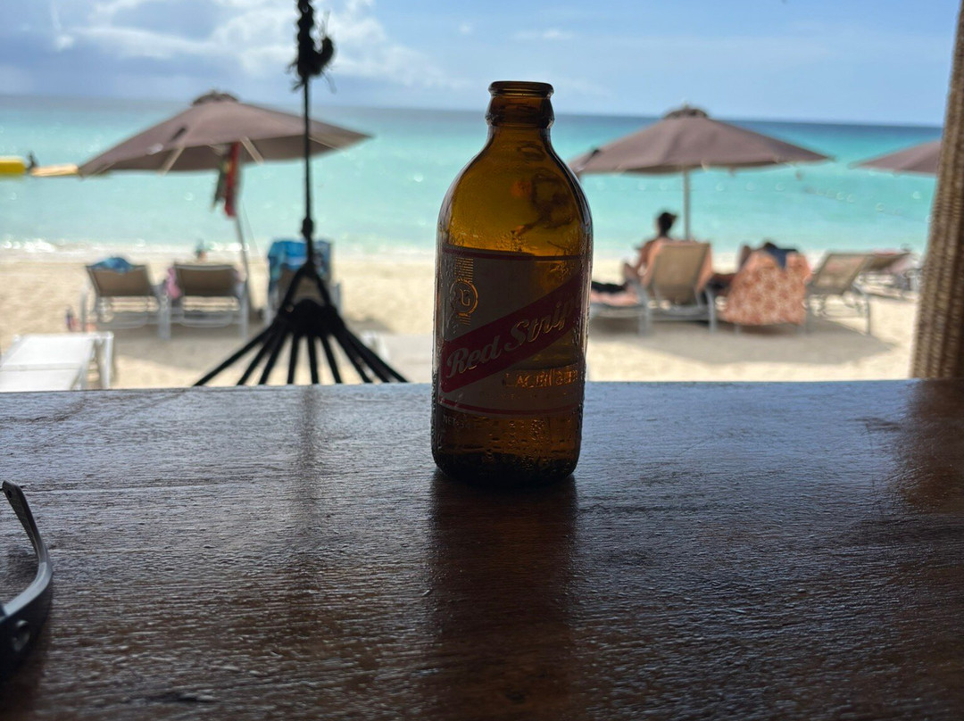 Jammin Jamaica Tours-Lucea必去景点
